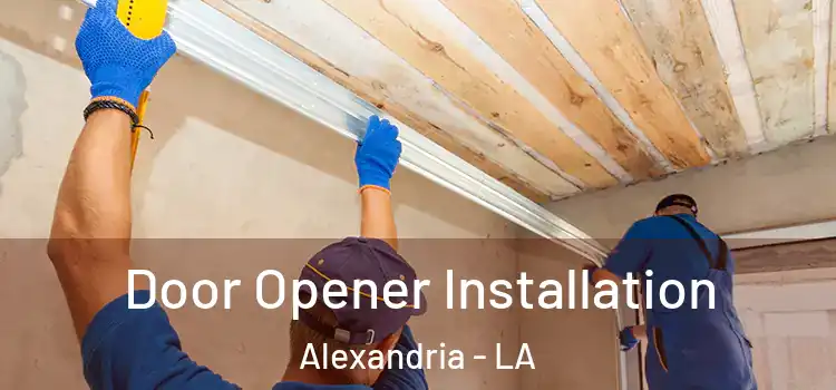  Door Opener Installation Alexandria - LA