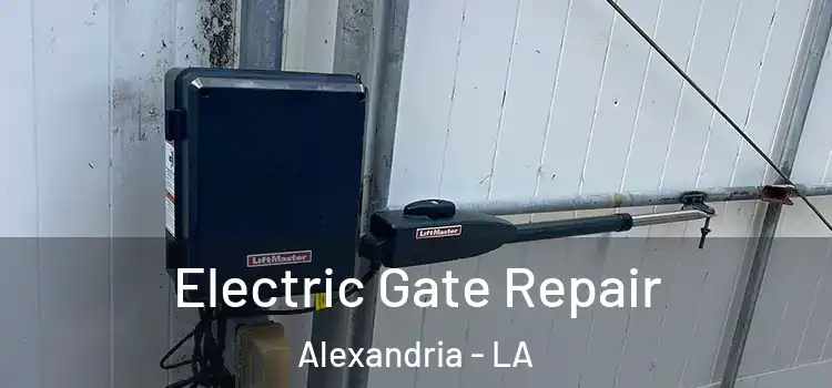  Electric Gate Repair Alexandria - LA