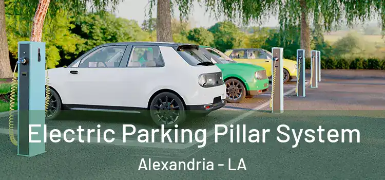 Electric Parking Pillar System Alexandria - LA