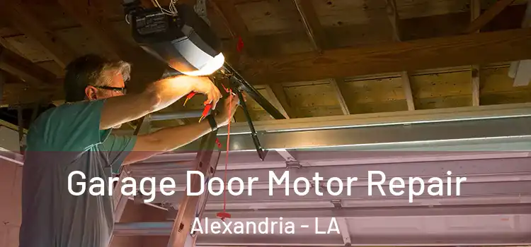  Garage Door Motor Repair Alexandria - LA
