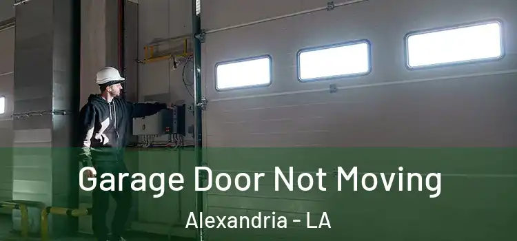  Garage Door Not Moving Alexandria - LA