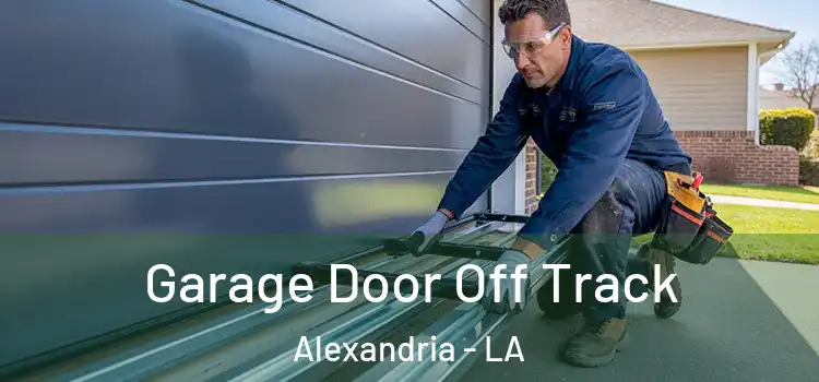 Garage Door Off Track Alexandria - LA
