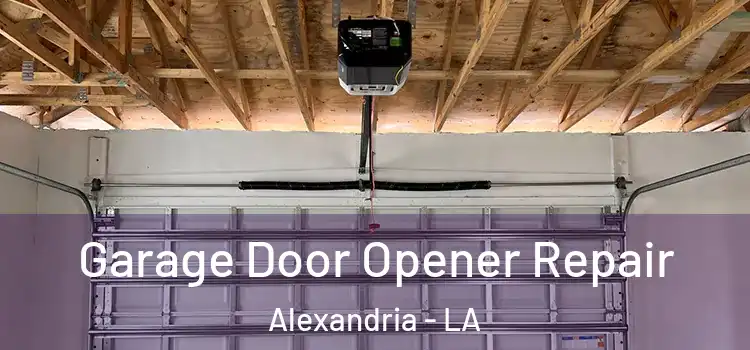  Garage Door Opener Repair Alexandria - LA