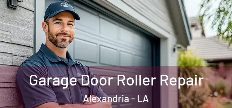  Garage Door Roller Repair Alexandria - LA