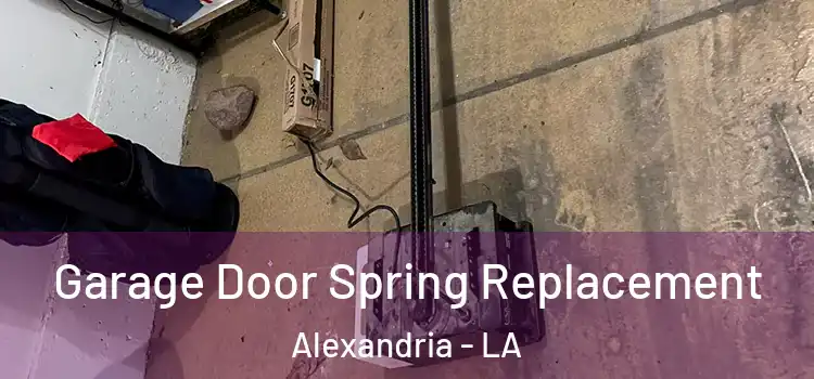  Garage Door Spring Replacement Alexandria - LA