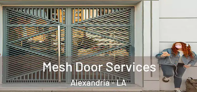 Mesh Door Services Alexandria - LA