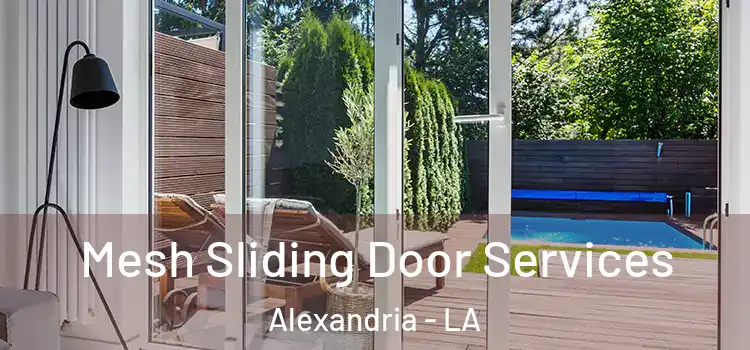  Mesh Sliding Door Services Alexandria - LA